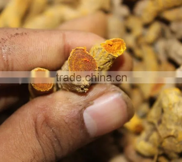 TURMERIC FINGER