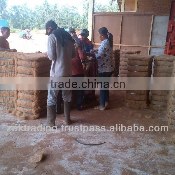 Premium Quality Coconut Fiber photo-4