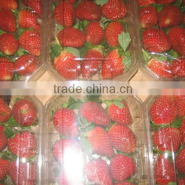 FRESH STREWBERRY photo-4
