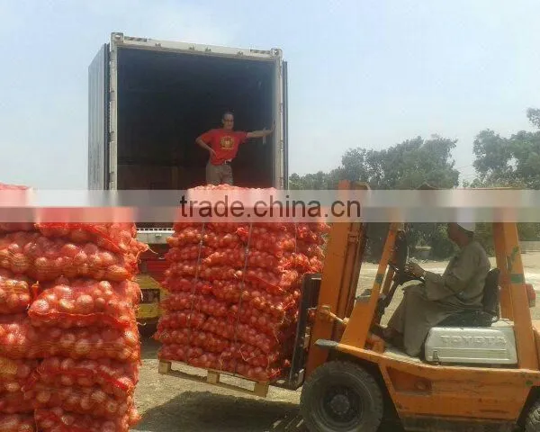 ONION SIZES ( 40 - 60 - 50 - 70 - 60 - 80 - up to 100 mm ) photo-4