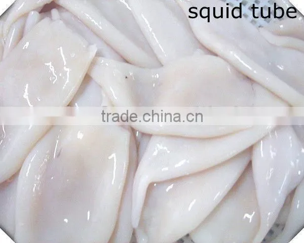 Common Squid Tube Seafood