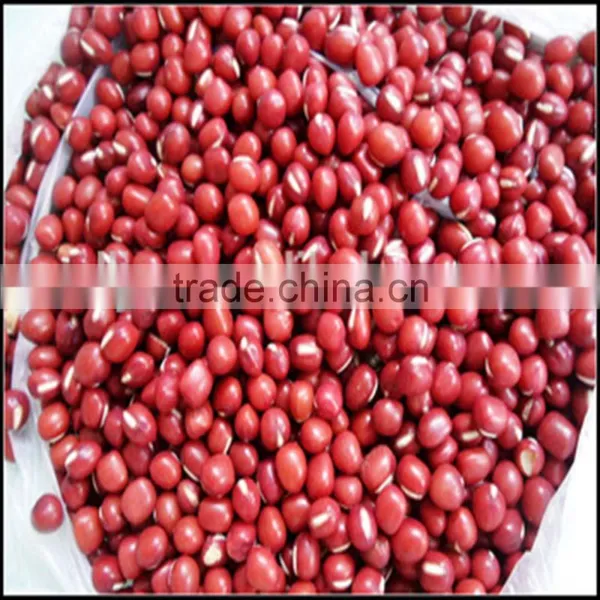 JSX Hand Picked Red Bean Soup Greatest Export Red Kidney Beans photo-5