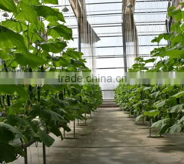 China Rockwool Cubes For Agriculture and Hydroponic System photo-6