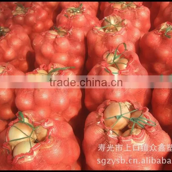 Recycled Good Quality Assurance pp Mesh Bag photo-3