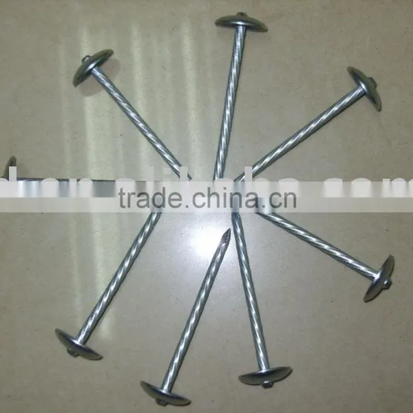 Galvanized Brad Nails