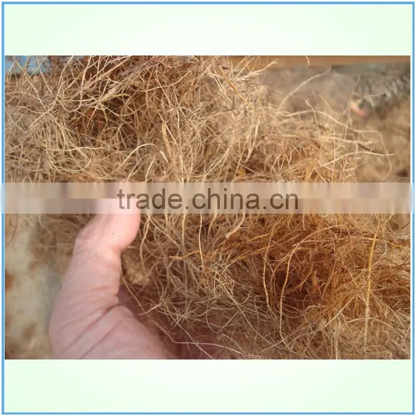 Coconut Long Fiber Baling Machine Exported to Indonesia photo-3