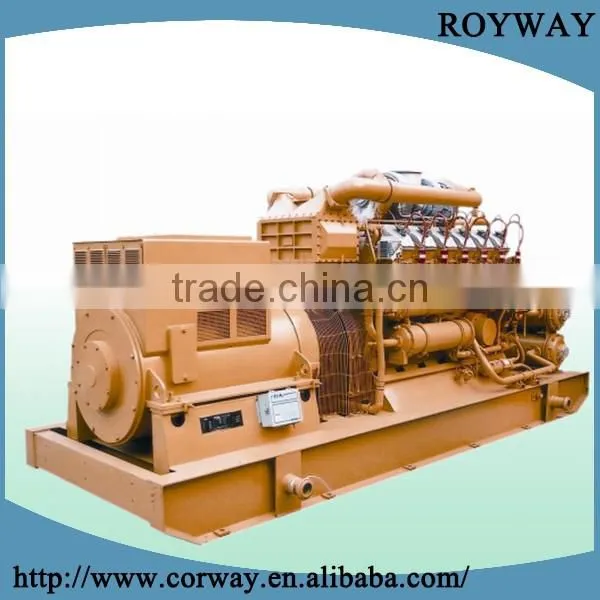 Biogas Driven Generator photo-3