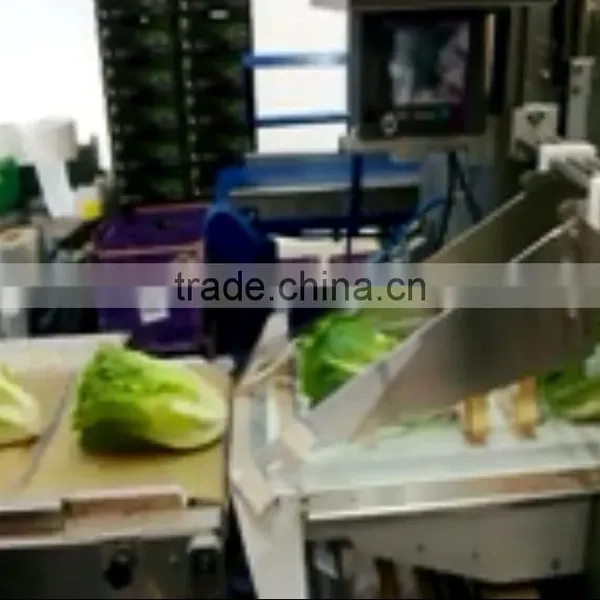 Automatic Turf Packing Machine photo-5