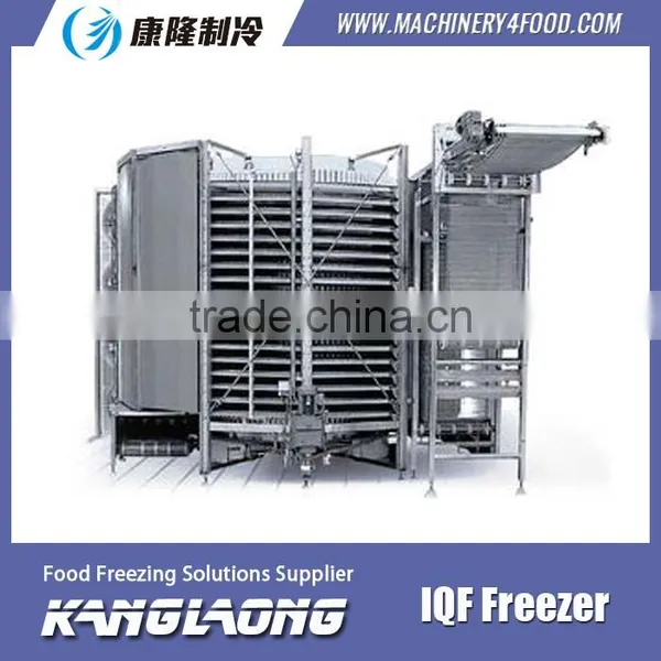 2000Kg/H Spiral IQF Freezer 1000 Made In China photo-4