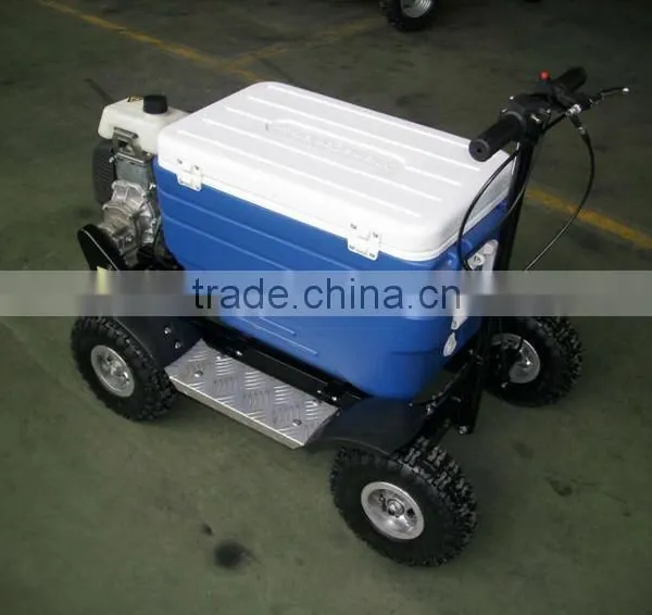 43cc EPA Approved Gasoline Refrigerator Scooter/cooler Box Scooter for Adult (TKS-S43) photo-2