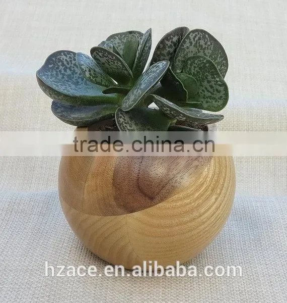 Sphere Succulent Air Plant Planter Wood photo-3