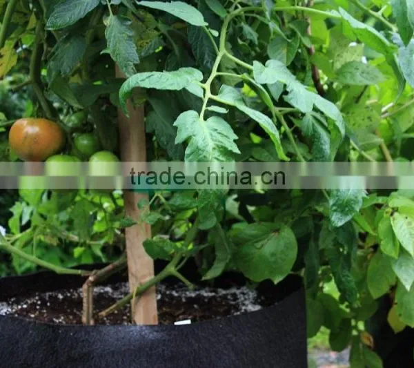 Non Woven Raised Vegetable Planter Smart Non Woven Plant Bag (1 Gal to 1200 Gal) photo-6