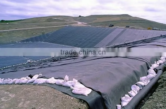 Hdpe Geomembrane Liner photo-5