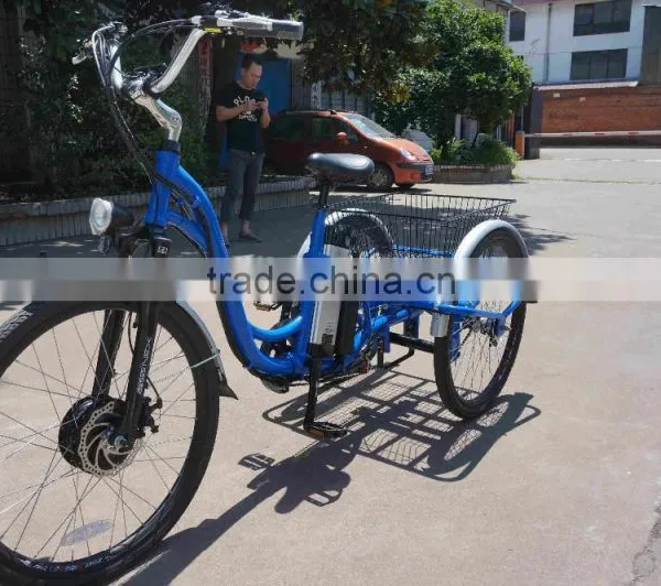 3 Wheel Electric Trike Electric Cargo Trike for Sale photo-2