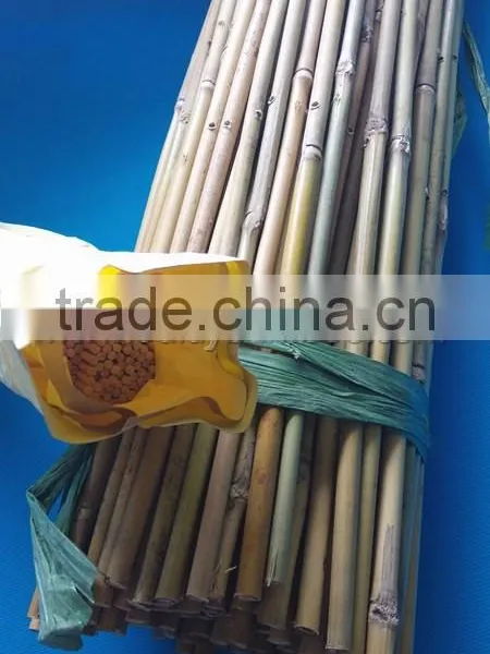 Hand-assembled Bamboo Trellis With Small Package photo-2