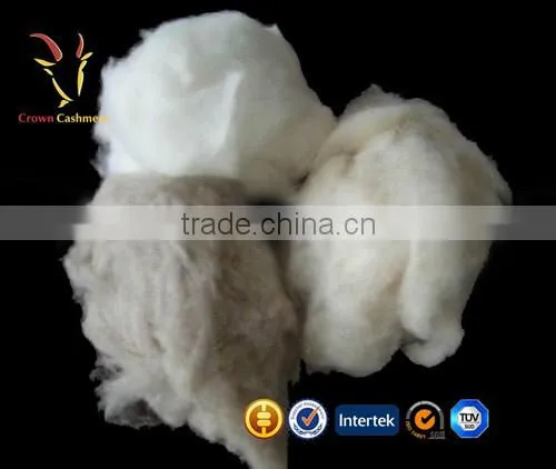 Mongolian Dehaired Cashmere Wool Top Fiber photo-2
