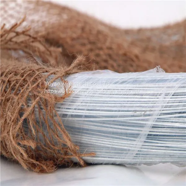 BWG21 4kg 5kg per Roll Galvanized Binding Wire Construction Wire photo-2