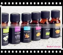 Hot Sale SPA Fragrance Oil Aroma Diffuser Oil OEM Factory photo-4