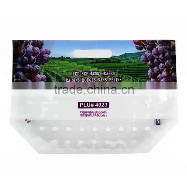 Clear LDPE Chinese Plastic Bag for Fruit Packing photo-2