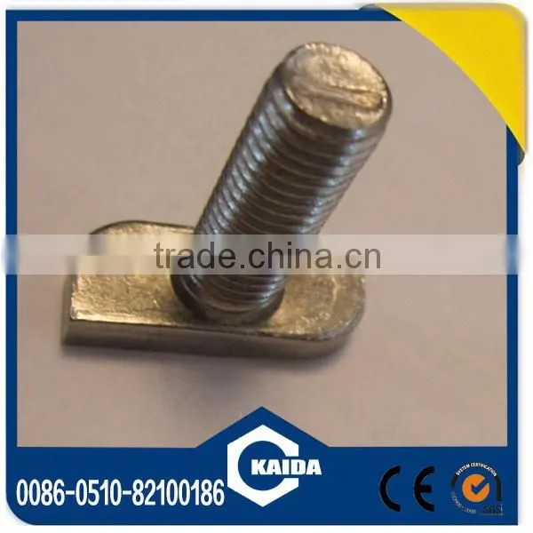 Stainless Steel T-head Bolt photo-6
