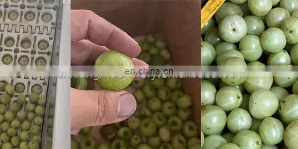 Peach Longan Cherry Sweet Date Olive Prune Destone Cherry Avocado Seed Removing Machine photo-4