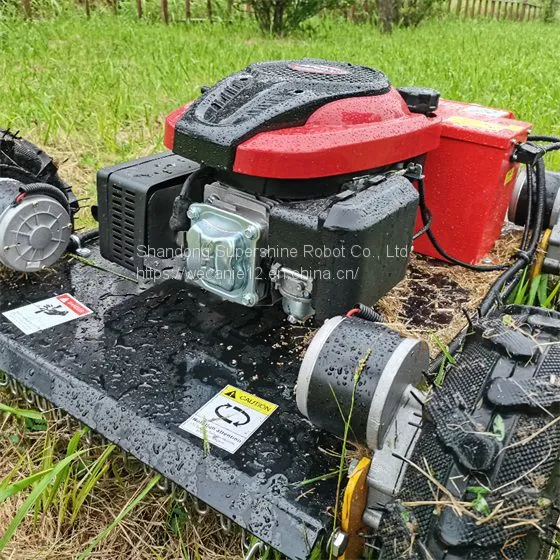 Radio Control Mower, China Remote Control Slope Mower Price, rc Remote Control Lawn Mower for Sale photo-2
