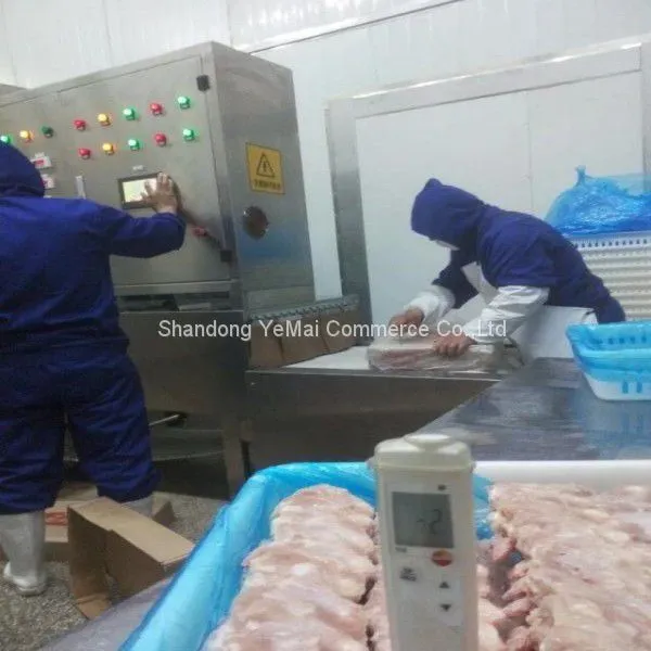 Industrial Microwave Defrosting Equipment Meat Thawing Machine photo-5