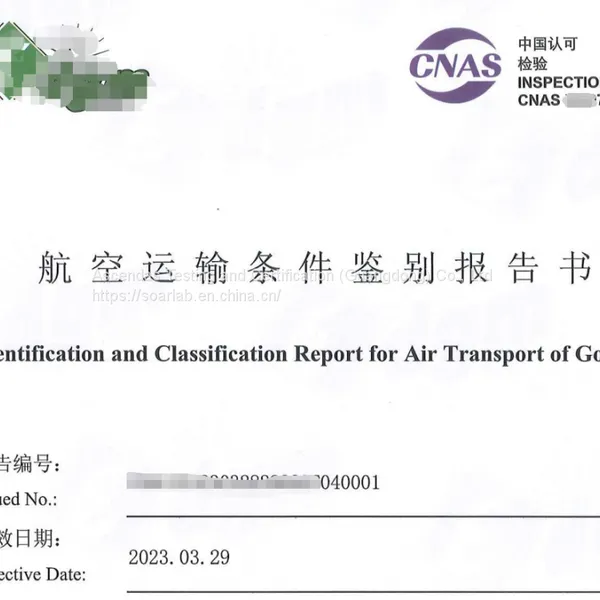 Air Freight Appraisal Certificate. Maritime Appraisal Certificate. MSDS Report photo-2