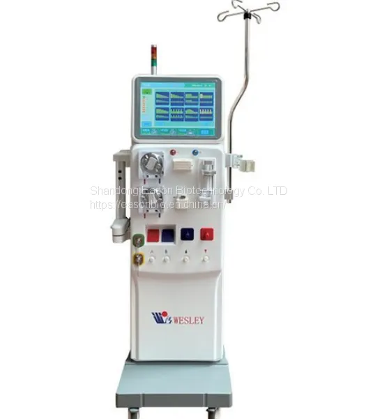 Weilisheng Hemodiafiltration Machine W-T6008S Bedside Hemofiltration Treatment Equipment Hemodialysis Machine
