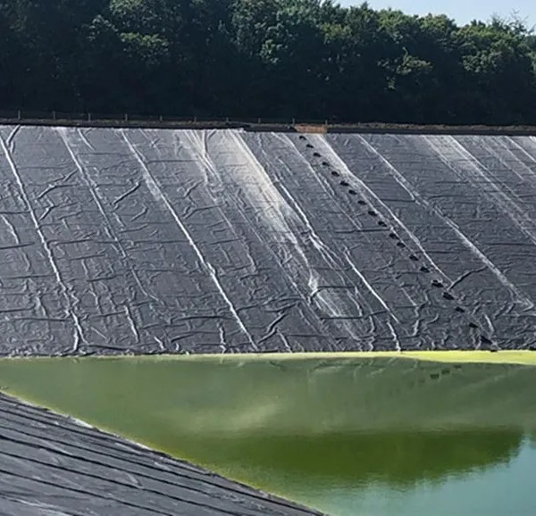 Geomembrane 0.50mm 0.75mm 1.0mm 1.5mm 2.0mm Fish Farm Pond Liner Dam Liner HDPE Geomembrane
