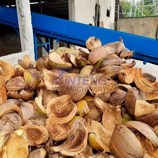 High Capacity Coconut Husk Decorticating Coconut Coir Dehusk Fiber Machine EPC photo-4