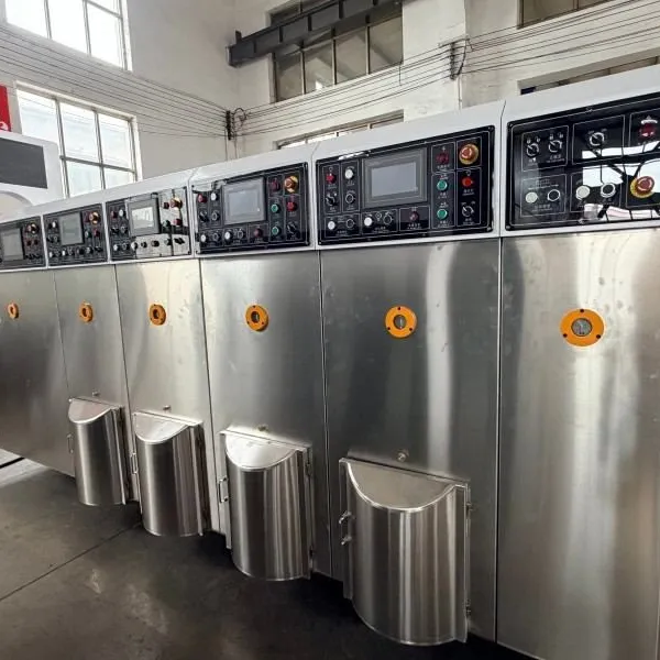 PLC Controlled Printer Die Slotter