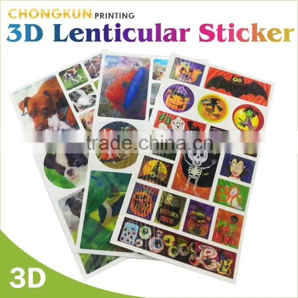 Custom Plastic File Folders With Snap Button photo-6