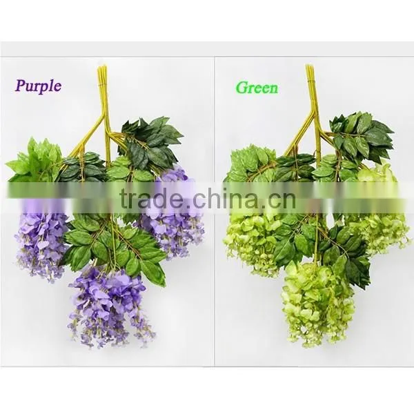Chinese Native Mini Blue Chinese Wisteria Flowers photo-3