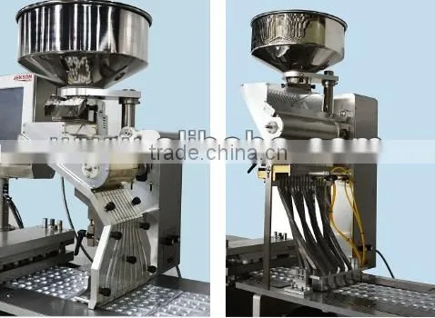 Automatic Blister Packaging Machine, Blister Packing Machine, DPP Blister Packing Machine photo-6