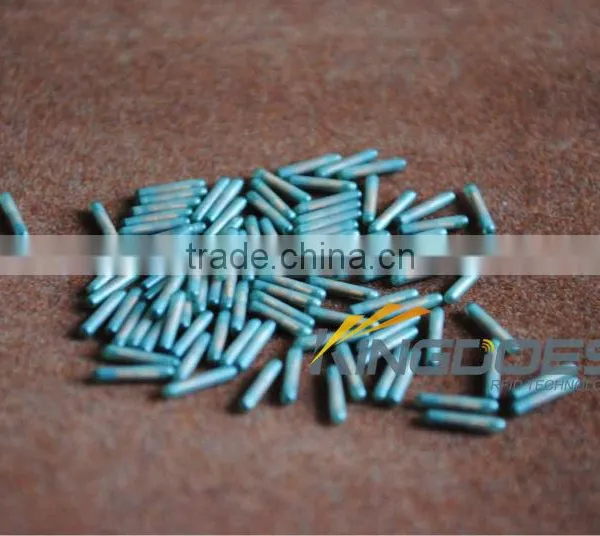 Smallest RFID Glass Tag photo-2