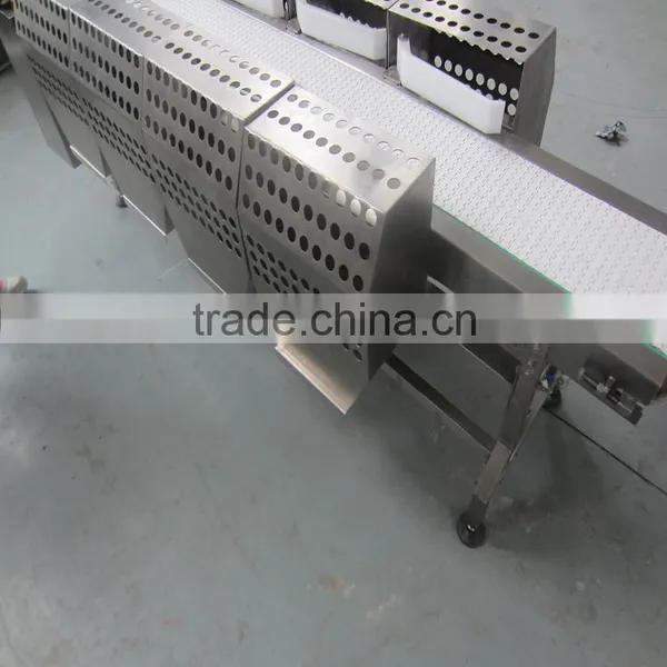 Food Grade PP Belt Conveyor System for Different Industries photo-5