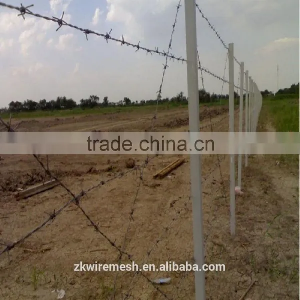 Razor Barbed Wire photo-4
