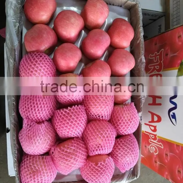 Fresh Apple Fruit for Sale