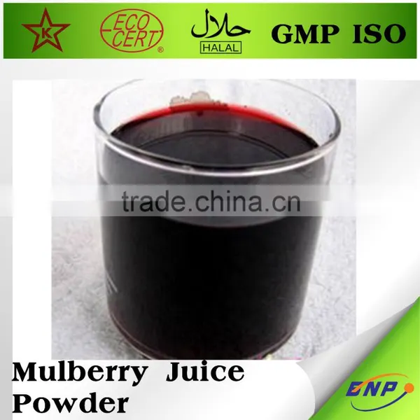 Mulberry Juice ISO Bulk Fruit Juice Powder photo-3
