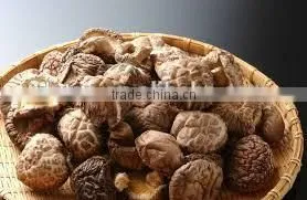 Detan Hot Dried Shiitake Mushrooms photo-3