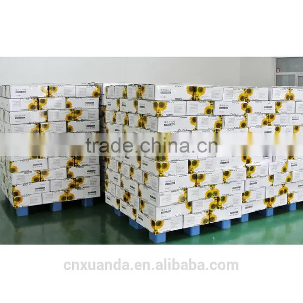 Organic Cultivation Type and Fresh Style Sunflower Seeds Kernel New photo-4