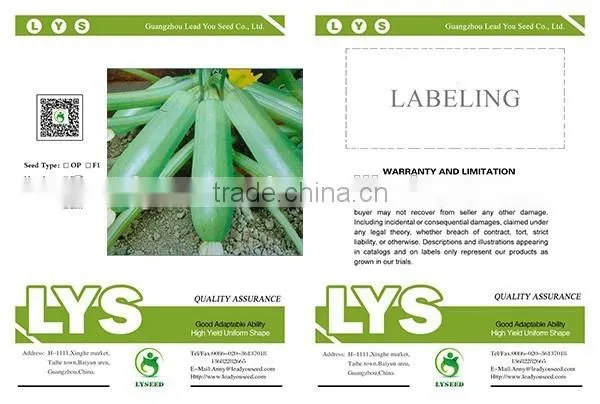 NSQ10 Jintan Hybrid Long Shape Zucchini Seeds photo-2