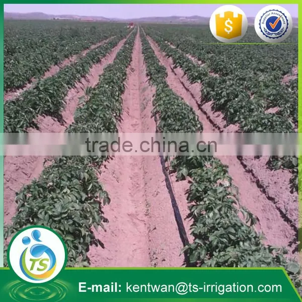 Drip Irrigation Tube for Drip Irrigation Equipment photo-2