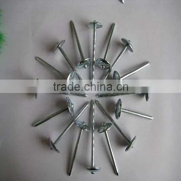 White Roofing Nail photo-5