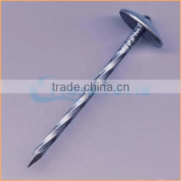Top Quality Construction Common Roofing Nail Iron Nail Quality Assured Trusted Chuanghe Suppliers From Com photo-5