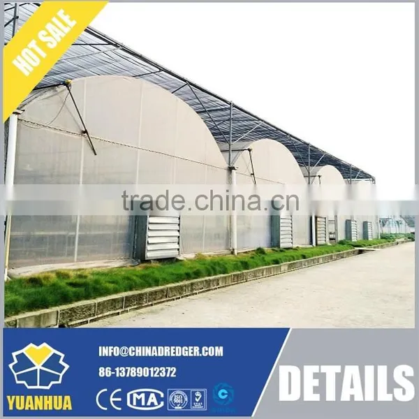 Economic and Practical Vegetable Greenhouse photo-6