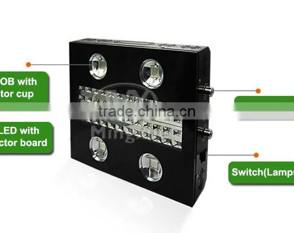 High Optical Quantum Density Led Grow Light Hydroponic photo-2
