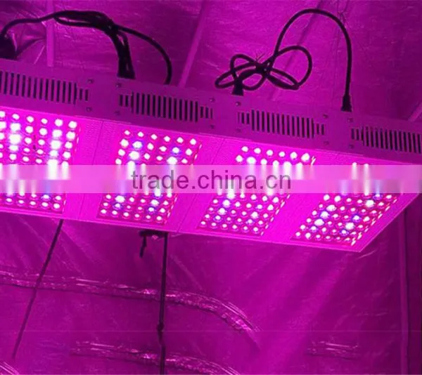2017 Hot Selling Indoor Greenhouse Plant Light 13 Band 300w Led Grow Light photo-6