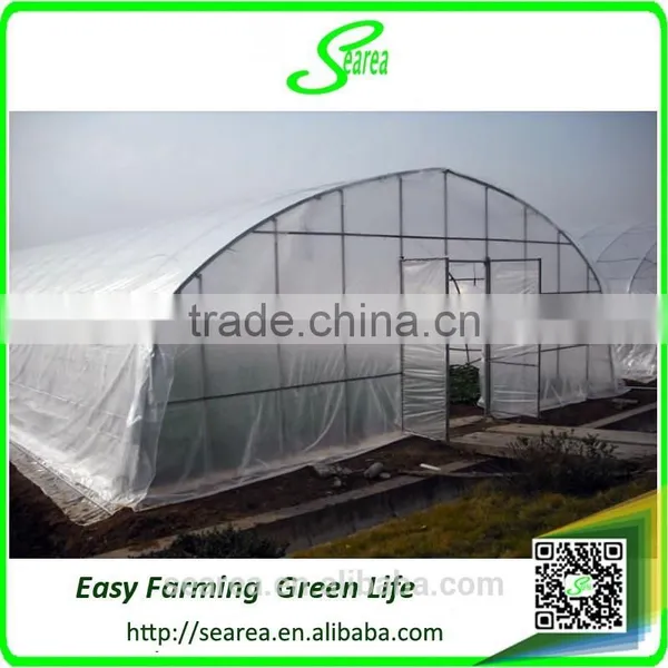 High Tunnel Greenhouse Single Span Green Houses photo-2